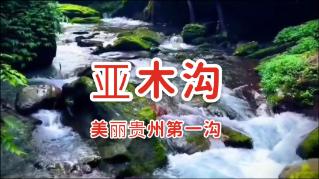 赛车计划2